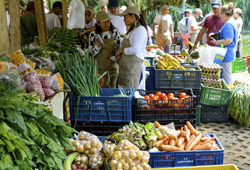 Área de comercialización de productos agropecuarios