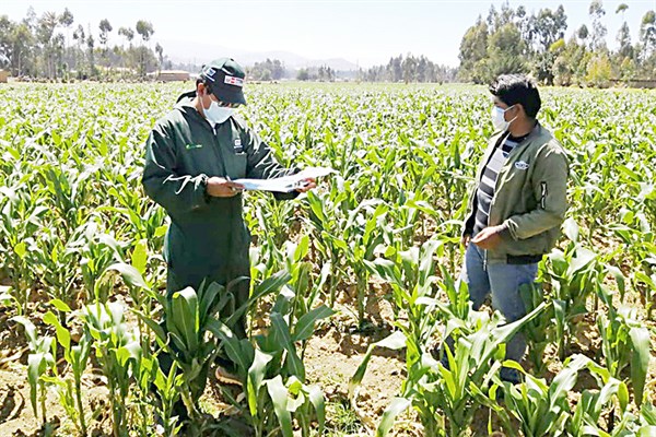 Área de investigación e innovación en cultivos y crianzas