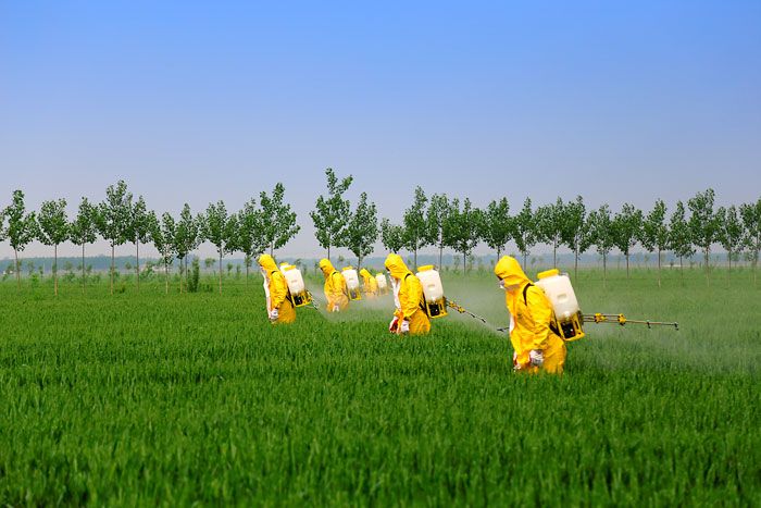 Área de manejo de agroquímicos y aplicaciones